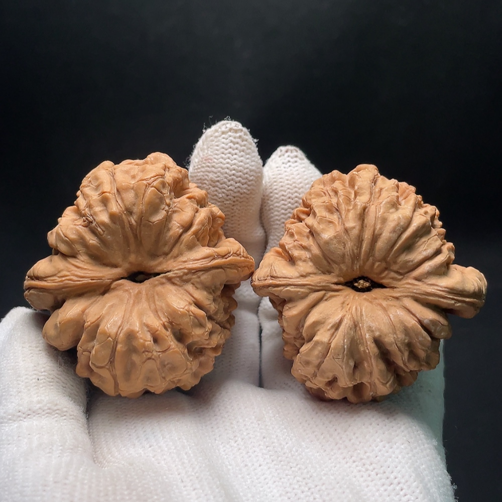 W35199838 Walnut Total weight about 61.61g Size about 50.1mm