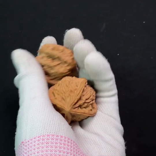 W24766112 Four-ridged Walnut, total weight approx. 31.57g