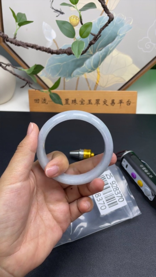 F25928370 Jadeite Regular Bangle, Inner Diameter 59.1, Total Weight Approx. 65g