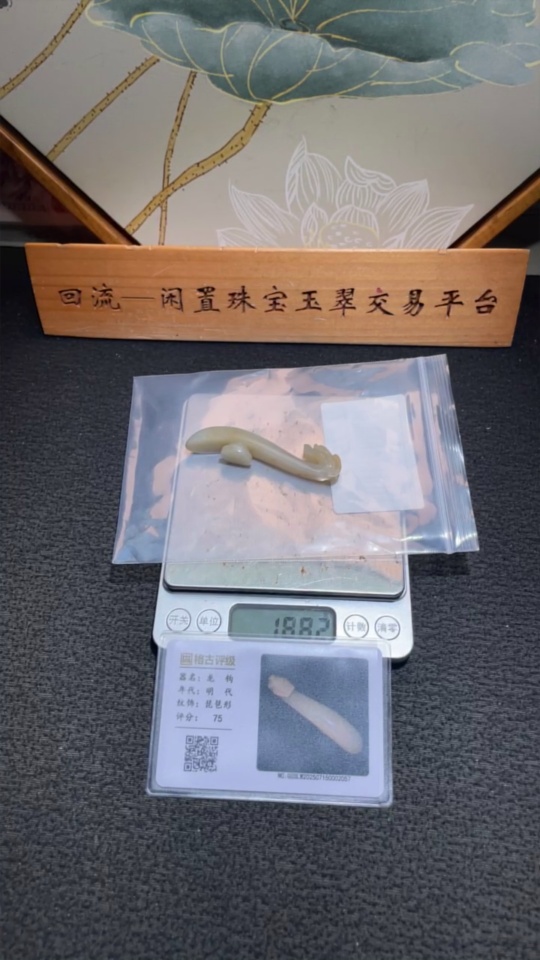 W32716727 Ming Dynasty Hetian Jade Dragon Head Belt Hook (Chongqing Gegu Rating)