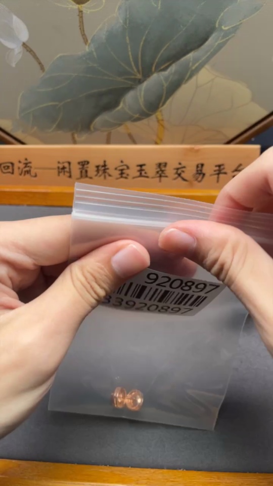 C33920897 South Red Agate Earrings (Non-Gold, Total Weight Approx. 3.16g)