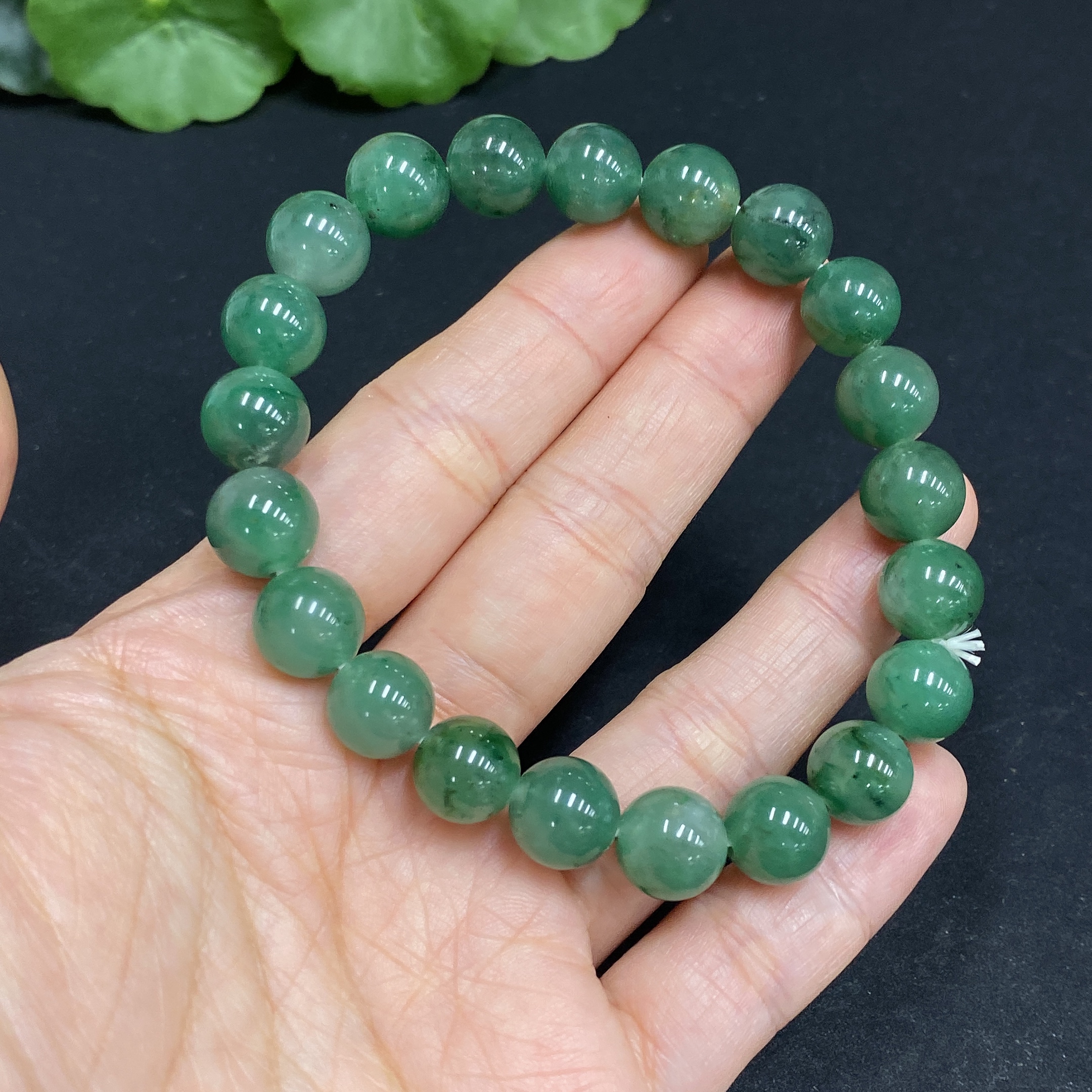 H32727094 Dulong Jade