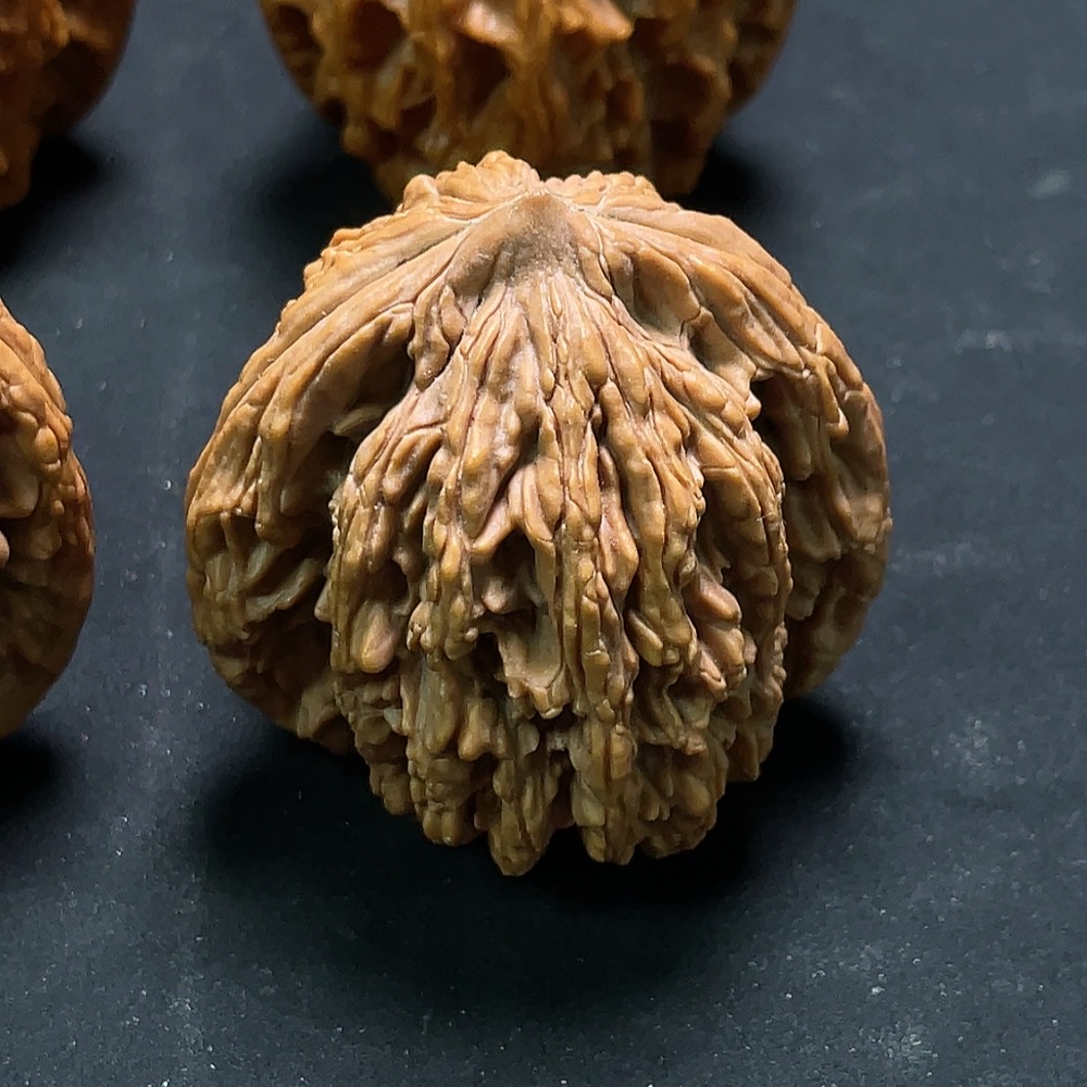 W34993274 Walnuts Sell as a Lot