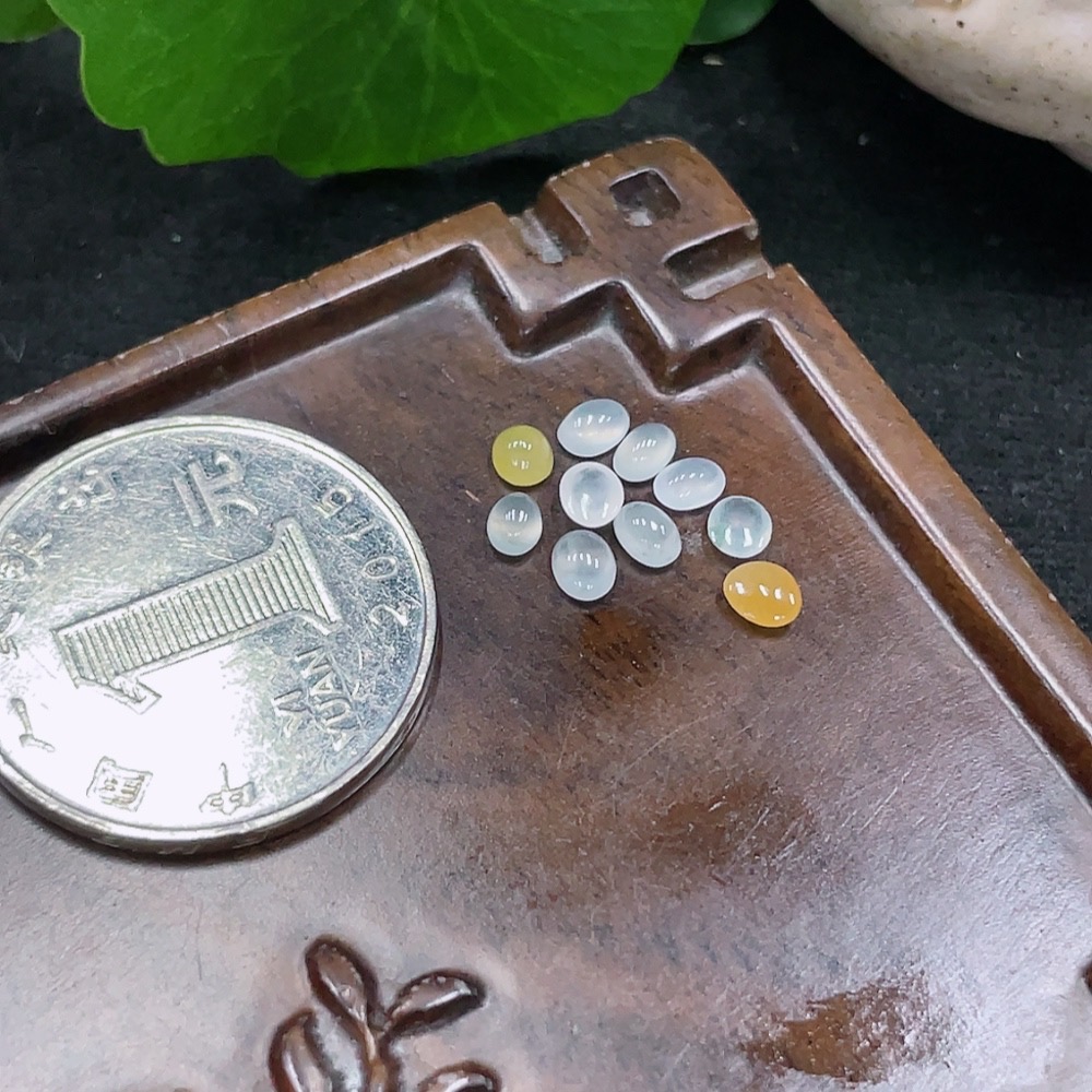 F32810262 Jadeite Cabochon Sell as a Lot (Color Origin Undetermined)