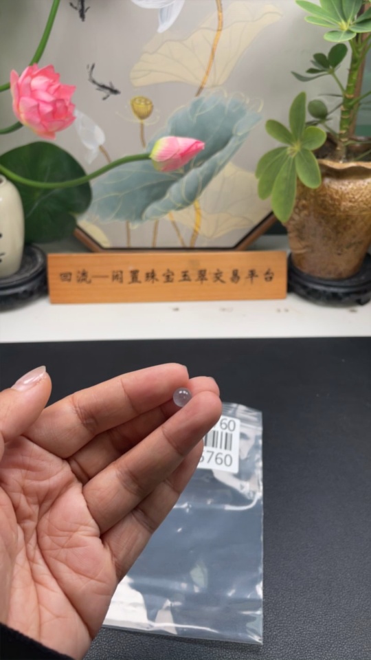 F34055760 Jadeite Beads Approx. 7.2mm Total Weight Approx. 0.73g