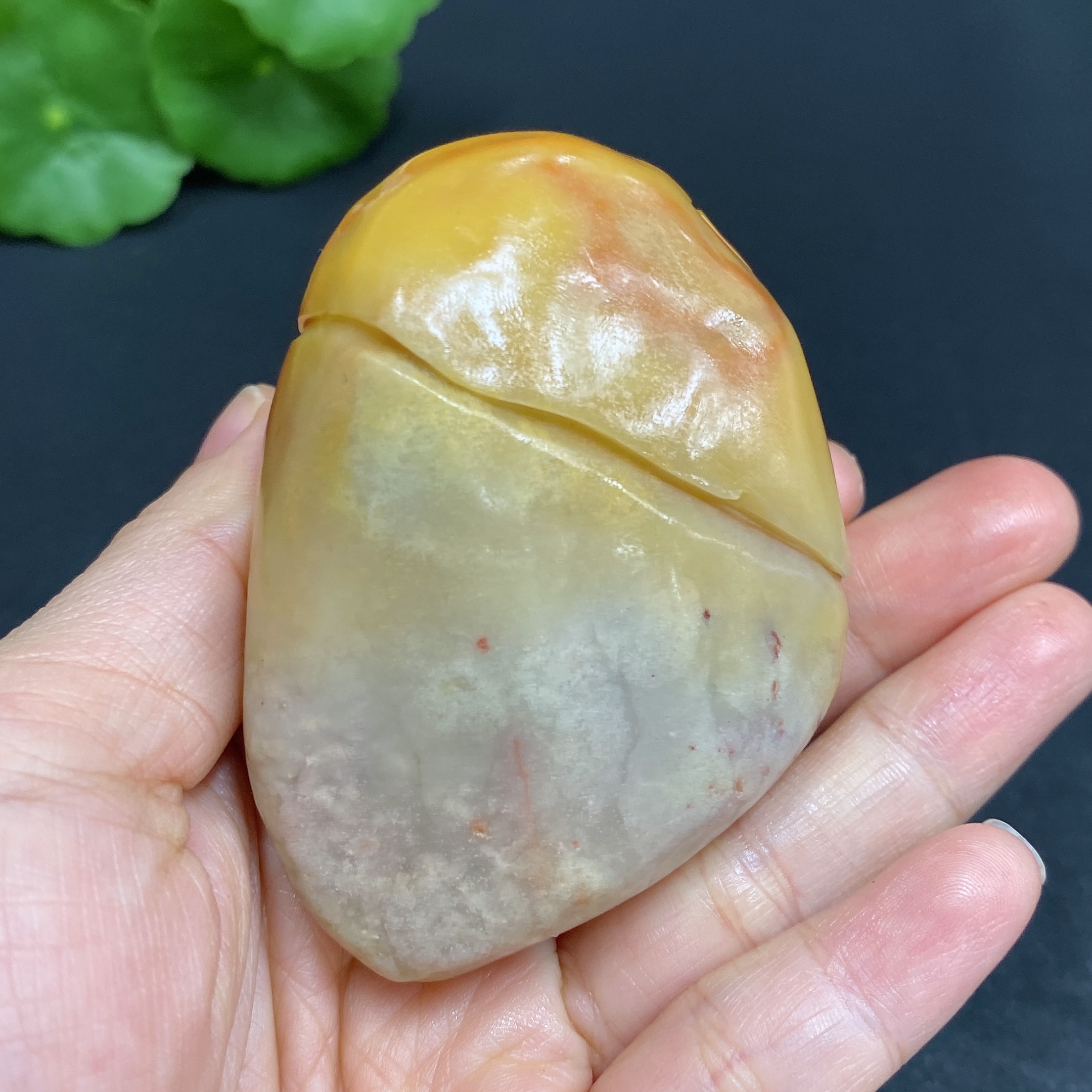 H30505270 Shoushan Stone Handheld Piece Longevity Turtle Total Weight Approx. 150.7g