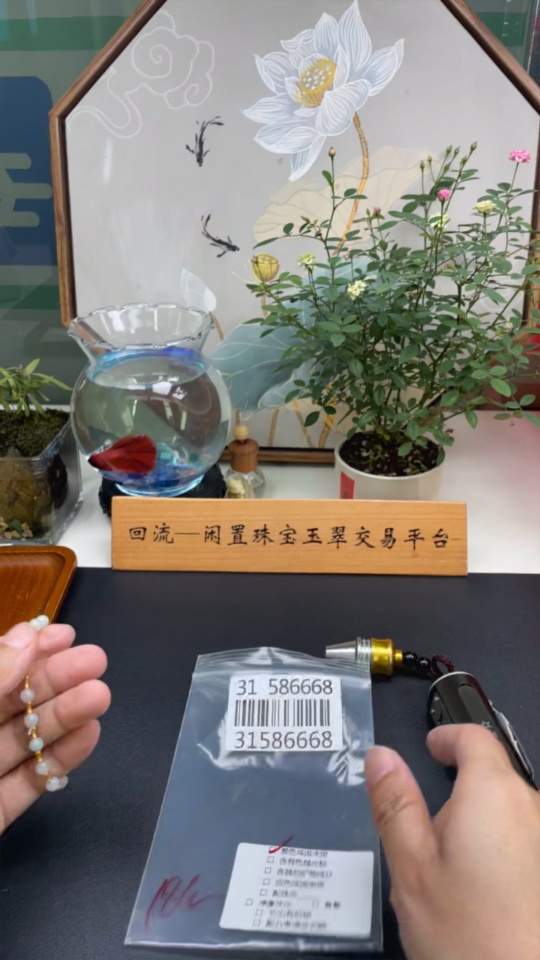 F31586668 Jadeite Bracelet Approx. 5.3mm Total Weight Approx. 5.07g 18k Color Origin Undetermined