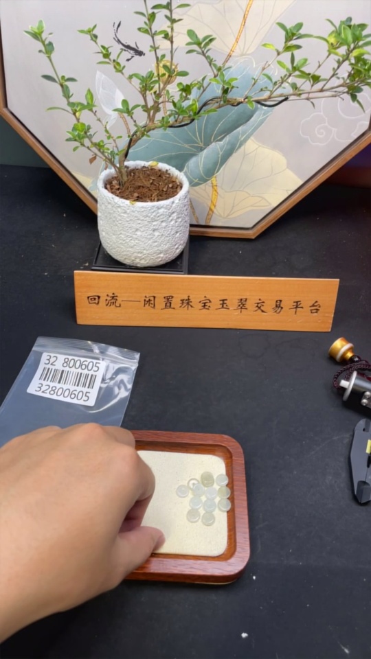 F32800605 Jadeite Beads Approx. 9.1mm