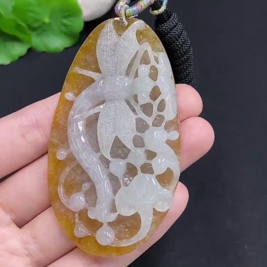 F31606757 Jadeite Dragonfly Pendant Total Weight Approx. 37.5g (Including Cord Weight) Color Origin Undetermined