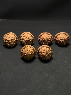 W24713378 Walnut Sell as a Lot
