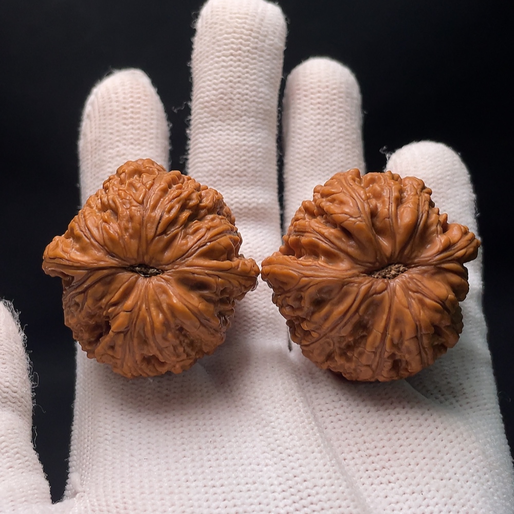 W34988942 Walnut Total weight approx. 31.85g Size approx. 37.2mm