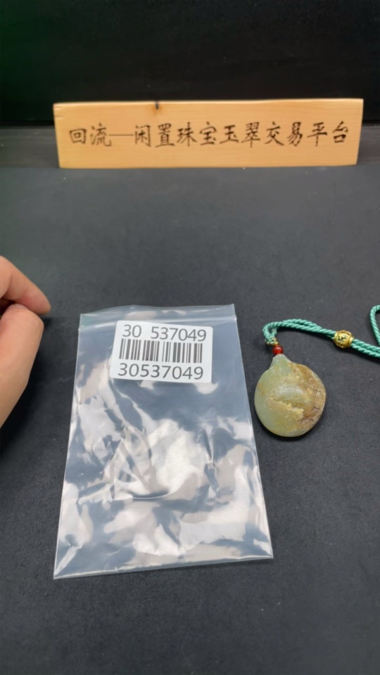 H30537049 Khotan Jade Pendant – Dragon Turtle with Undetermined Skin Color Origin, Total Weight (including rope): 46.5g