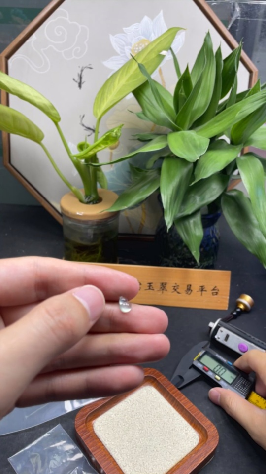 F35146713 Jadeite gourd inlaid piece, total weight about 0.2g