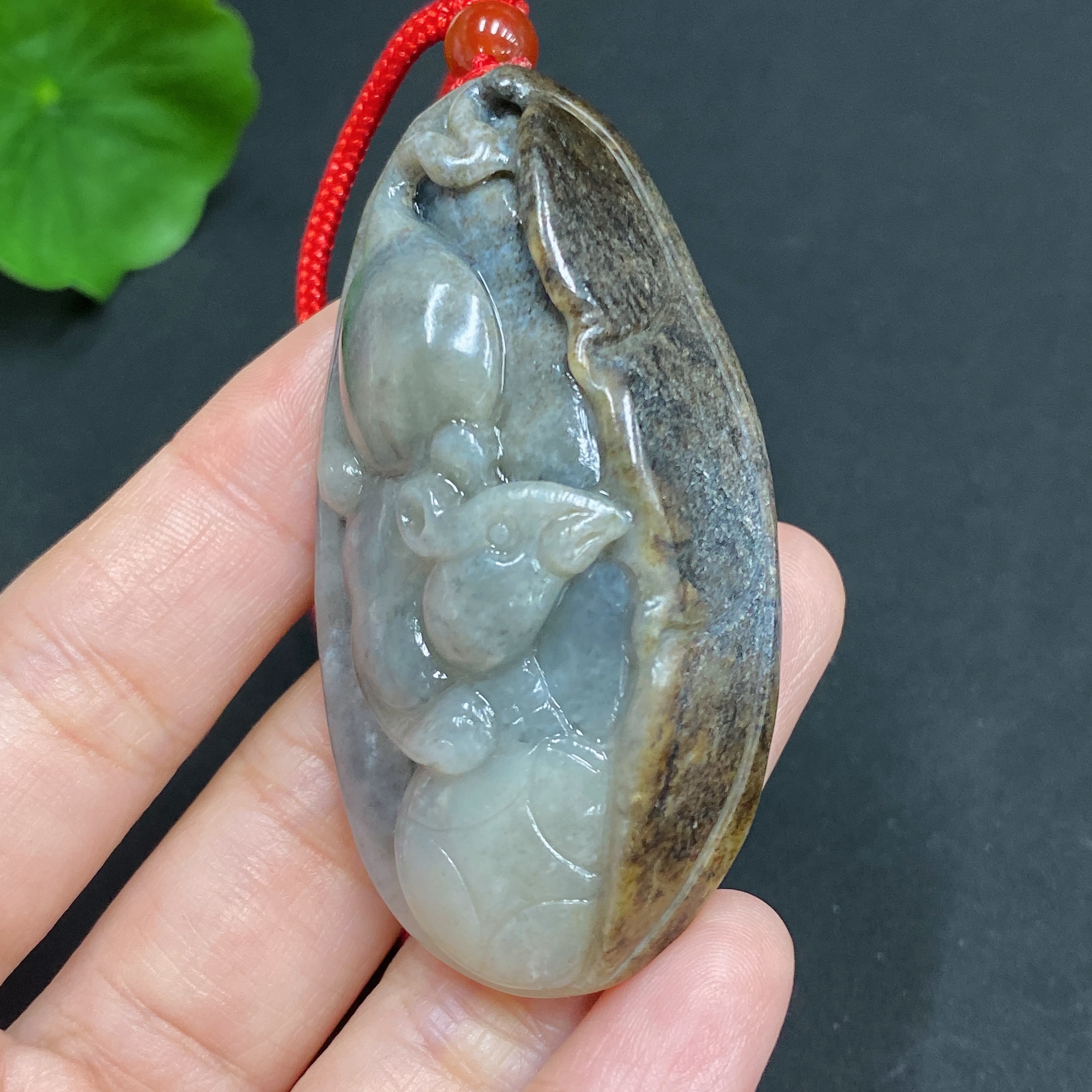 H22437789 Mouse Brings Wealth