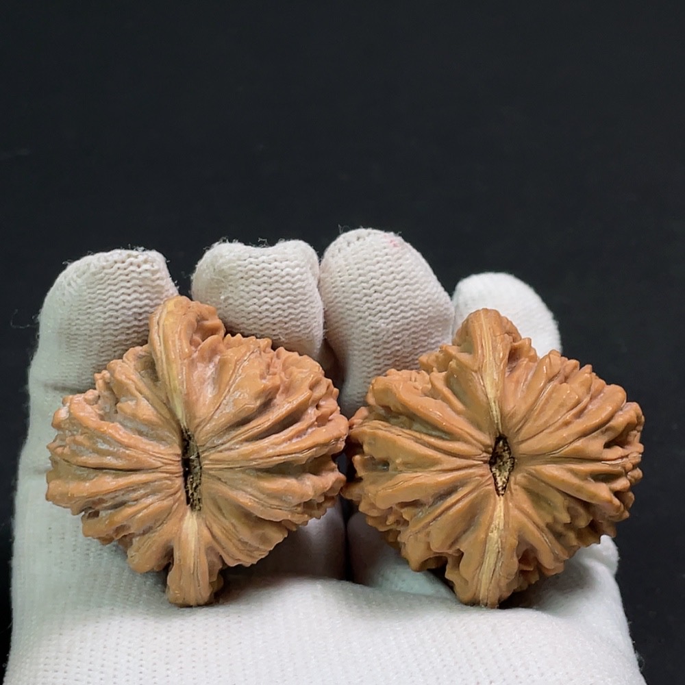 W29382528 Four Towers Building Walnut, Total Weight Approx. 41.05g