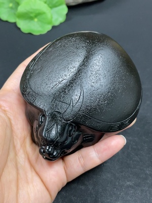 H42953468 和田玉摆件    龙龟    货品总重约342.6g    皮色成因未定   含其他矿物成份