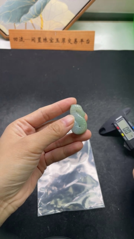 F35077926 Jadeite Flying Snake Pendant Total Weight Approx. 17.1g