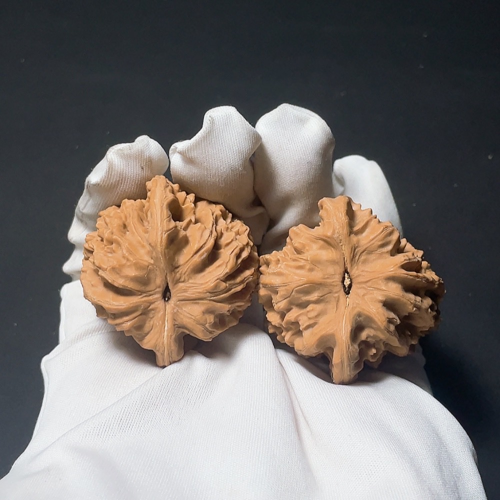 W21384974 Tiger Head Walnut, total weight approx. 34.8g