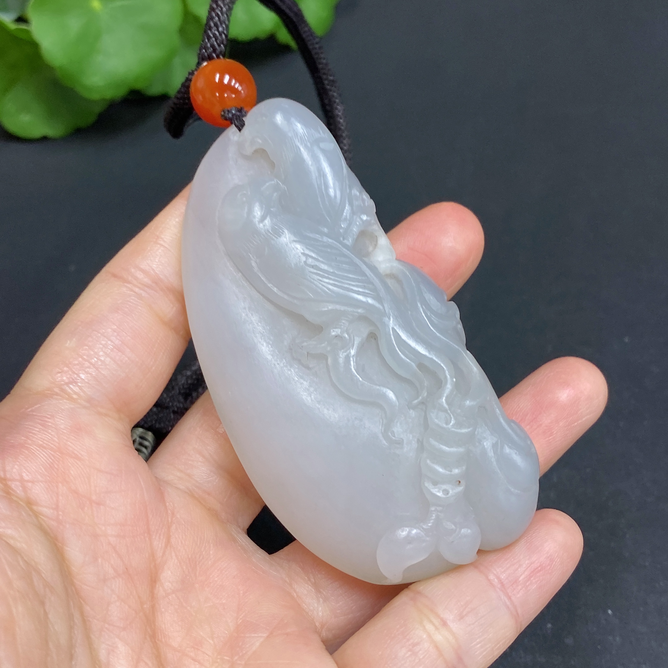 H29374721 Happy Bird on the Branch