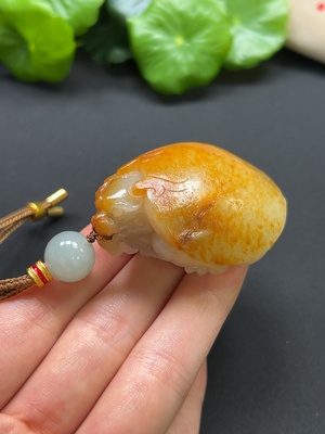 H41917394 和田玉龙龟挂件 颜色成因未定 总重约62.5g 含绳