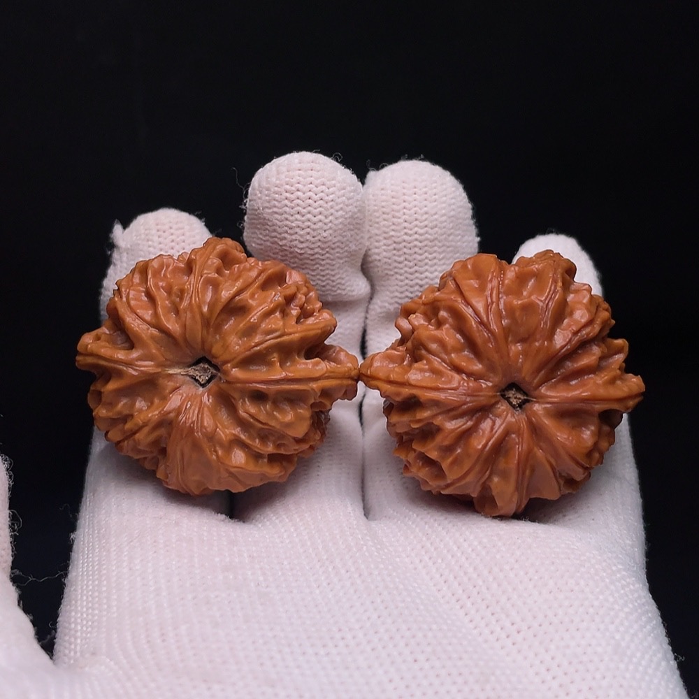 W32764706 Four-ridged Walnut, total weight approx. 30.8g, size about 39.4mm