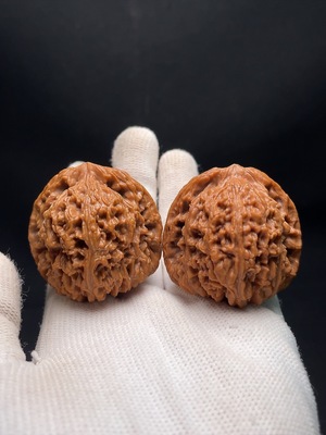 W34048084 Walnut, total weight about 50g, size approx. 42.2mm