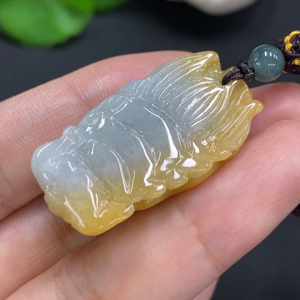 F30528707 Jadeitedragon head pendant with cord, total weight approx. 15.8g (Color origin undetermined)