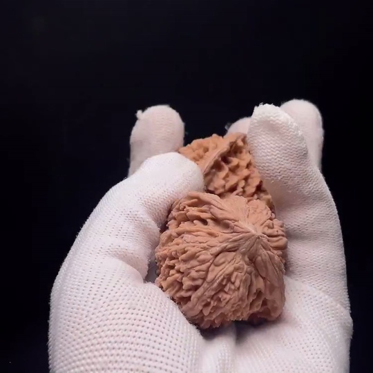 W32766043 Walnut, total weight about 45.1g, size about 41.2mm