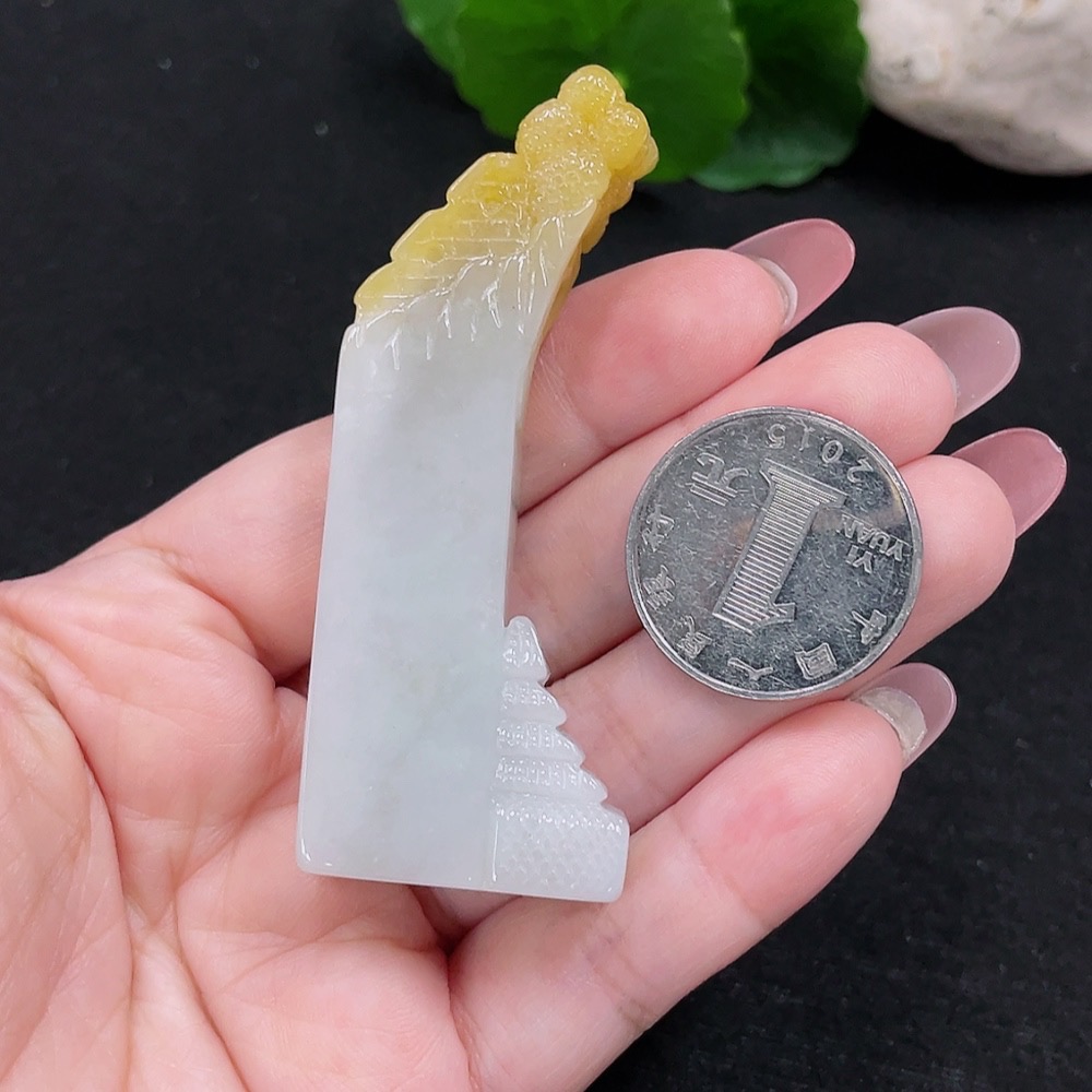 F32773623 color origin undetermined