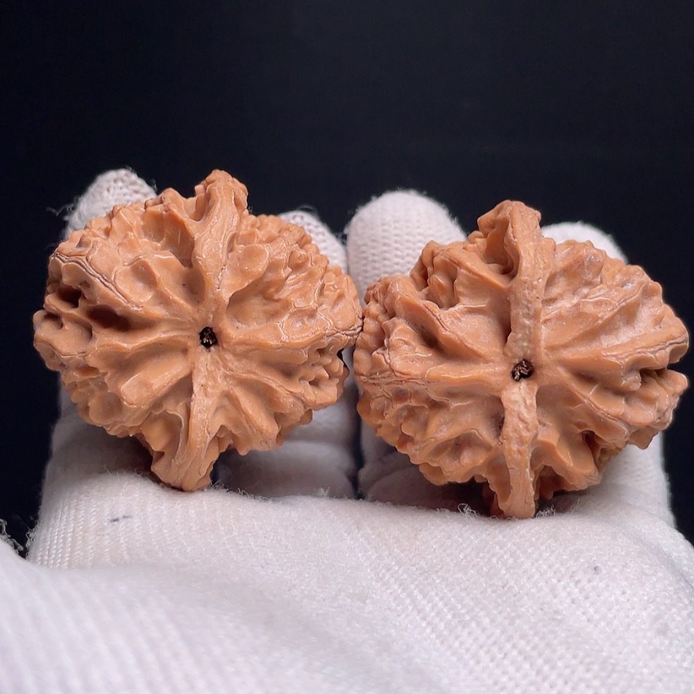 W23652385 Apple Orchard Walnut, Total Weight Approx. 34.6g, Size 37.8mm