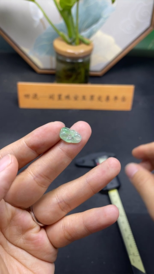 F34076117 Jadeite inlay piece, total weight approx. 0.54g