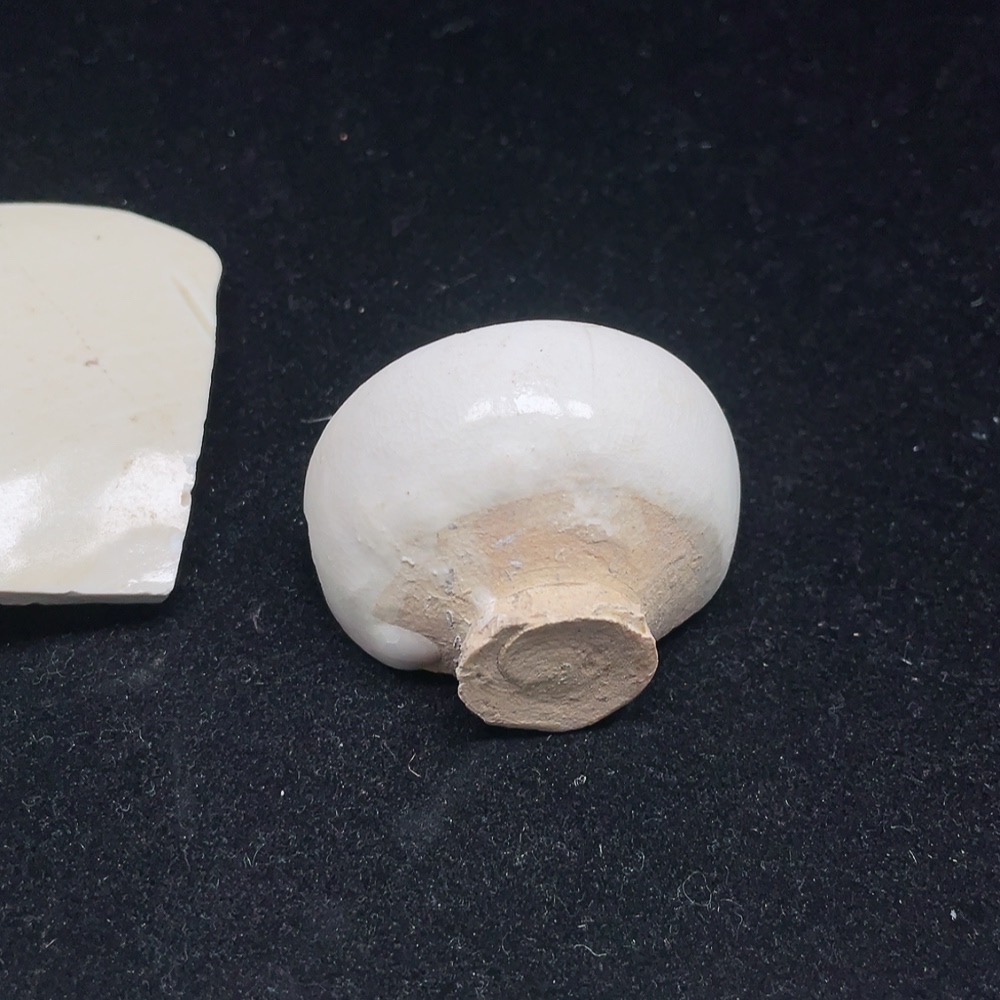 W25911822 A set of white-glazed ceramic shards (actual size as per the item)