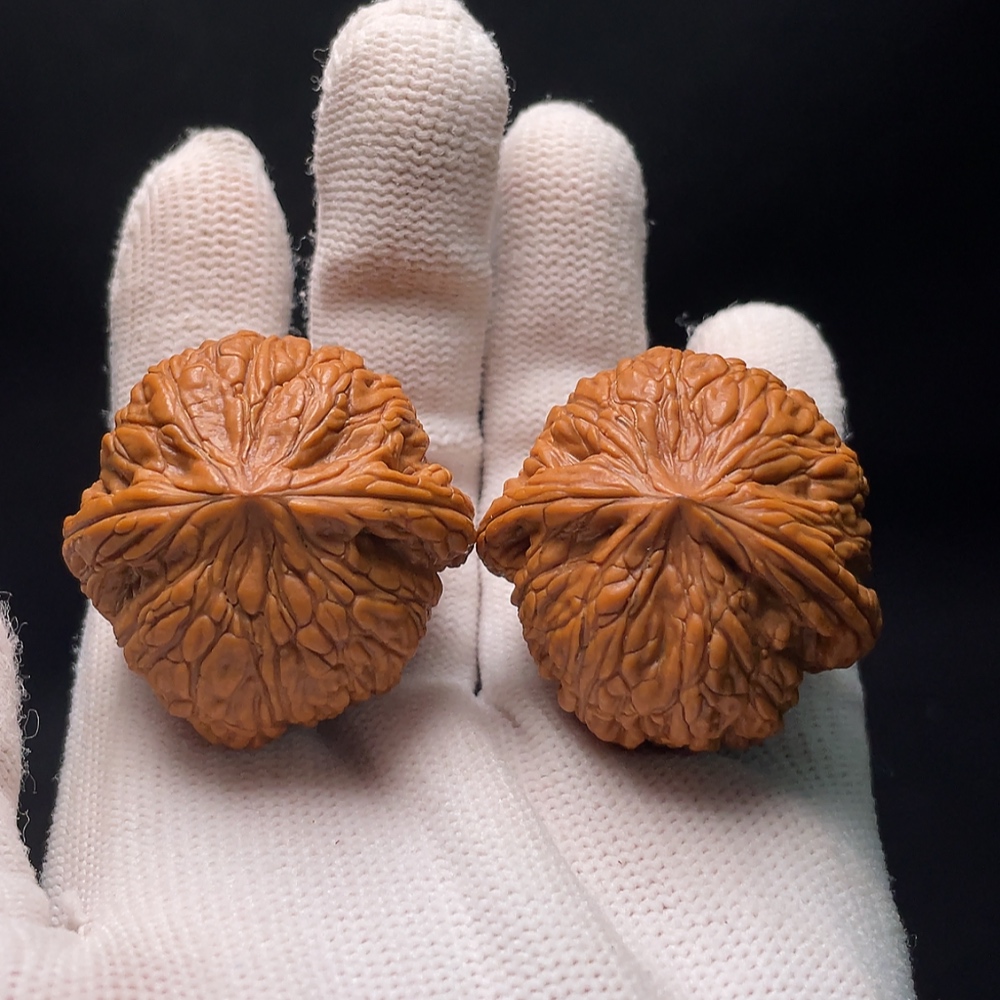 W34988942 Walnut Total weight approx. 31.85g Size approx. 37.2mm