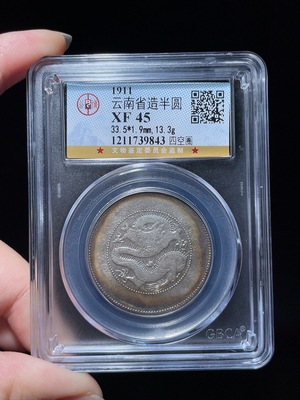 Q24765560 Yunnan Half-Dragon Silver Dollar
