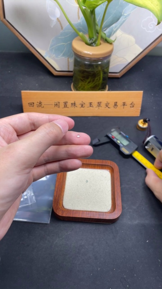 F35095588 Jadeite Cabochons Sell as a Lot