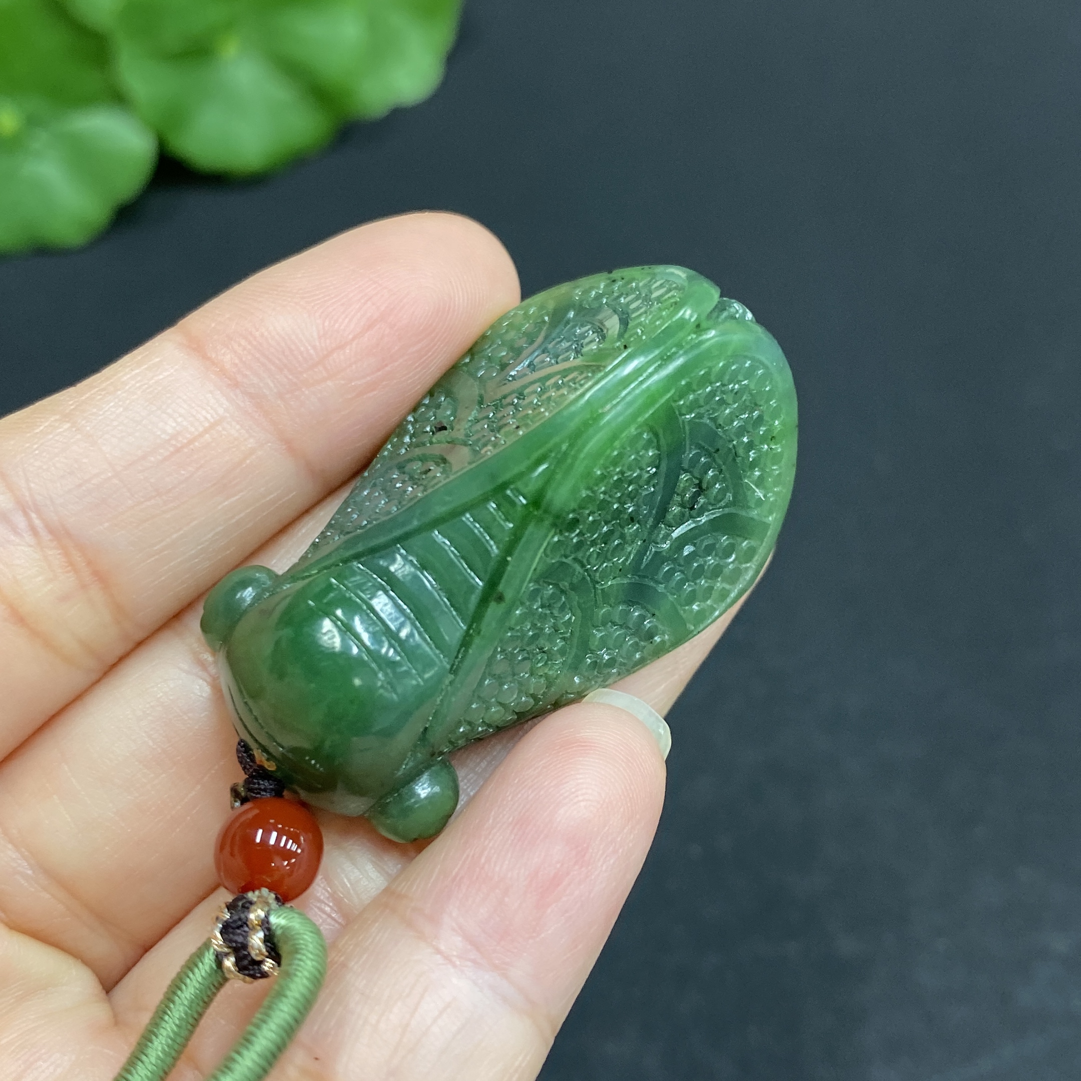 H33859945 一鸣惊人: A Startling Debut