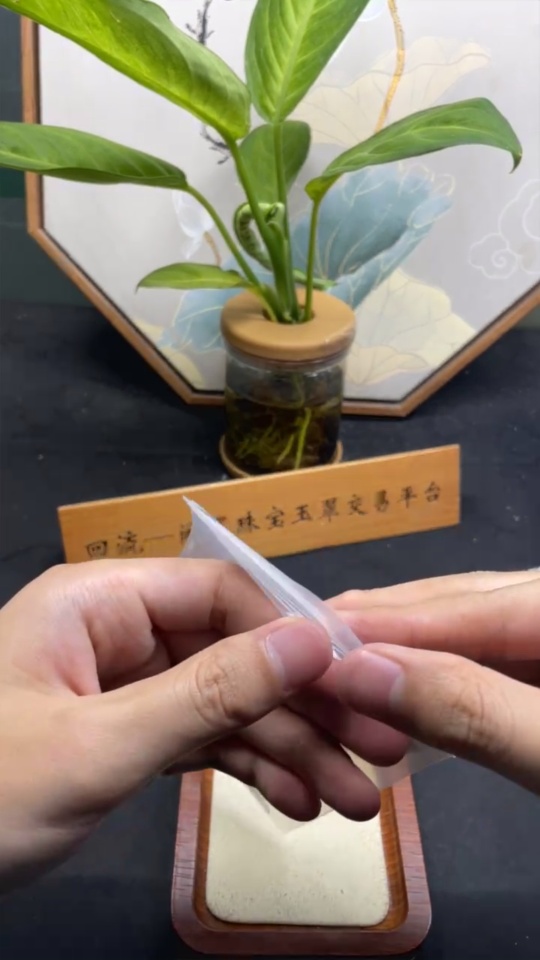 F34003066 Jadeite Inlaid Earrings Suspected Gold-Plated Total Weight Approximately 3.1g