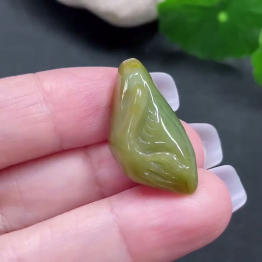 F27065361 color origin undetermined