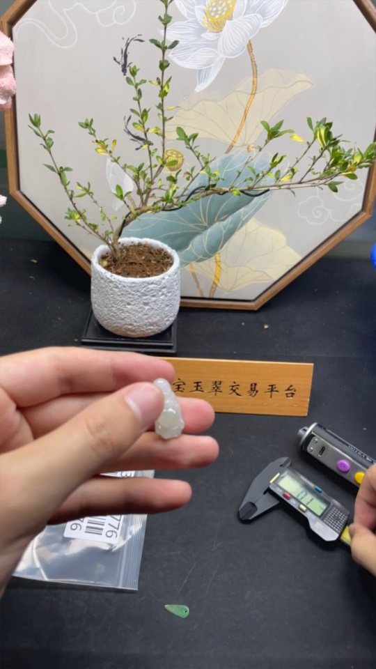 F33831776 Jadeite Pendant Sell as a Lot