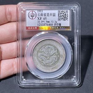Q41943201 公博评级XF45分云南新龙半圆银元四空圈版