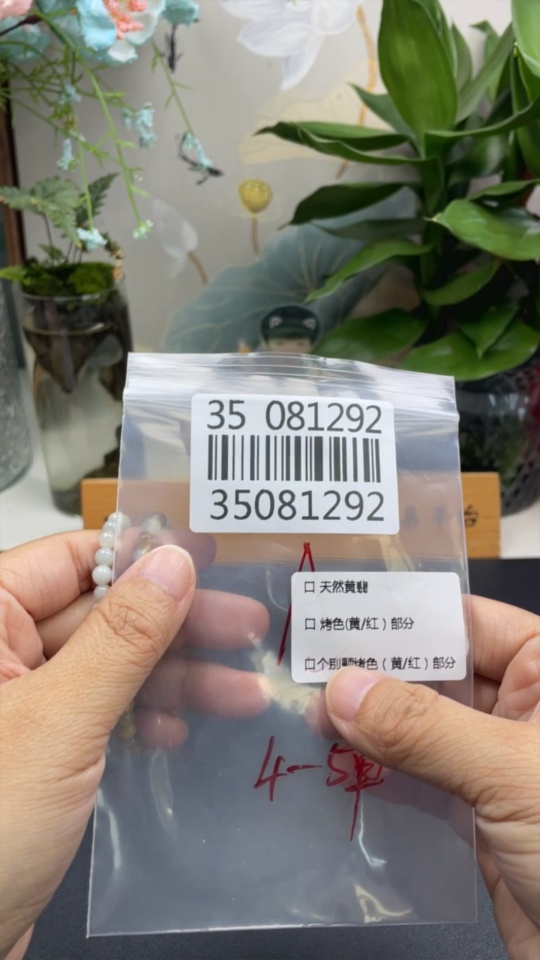 F35081292 Jadeite Beads Approx. 5.4mm