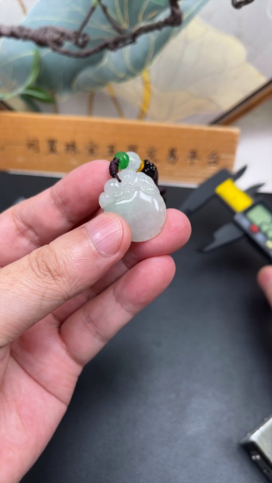 F34977233 Jadeite Pendant Fu Gua Total Weight Approx. 8.92g Including Rope With Non-A Beads