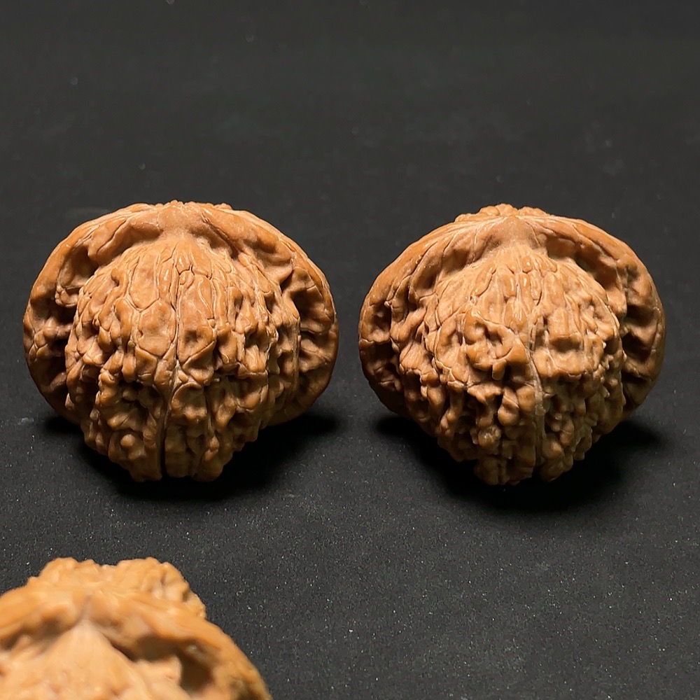 W24713378 Walnut Sell as a Lot