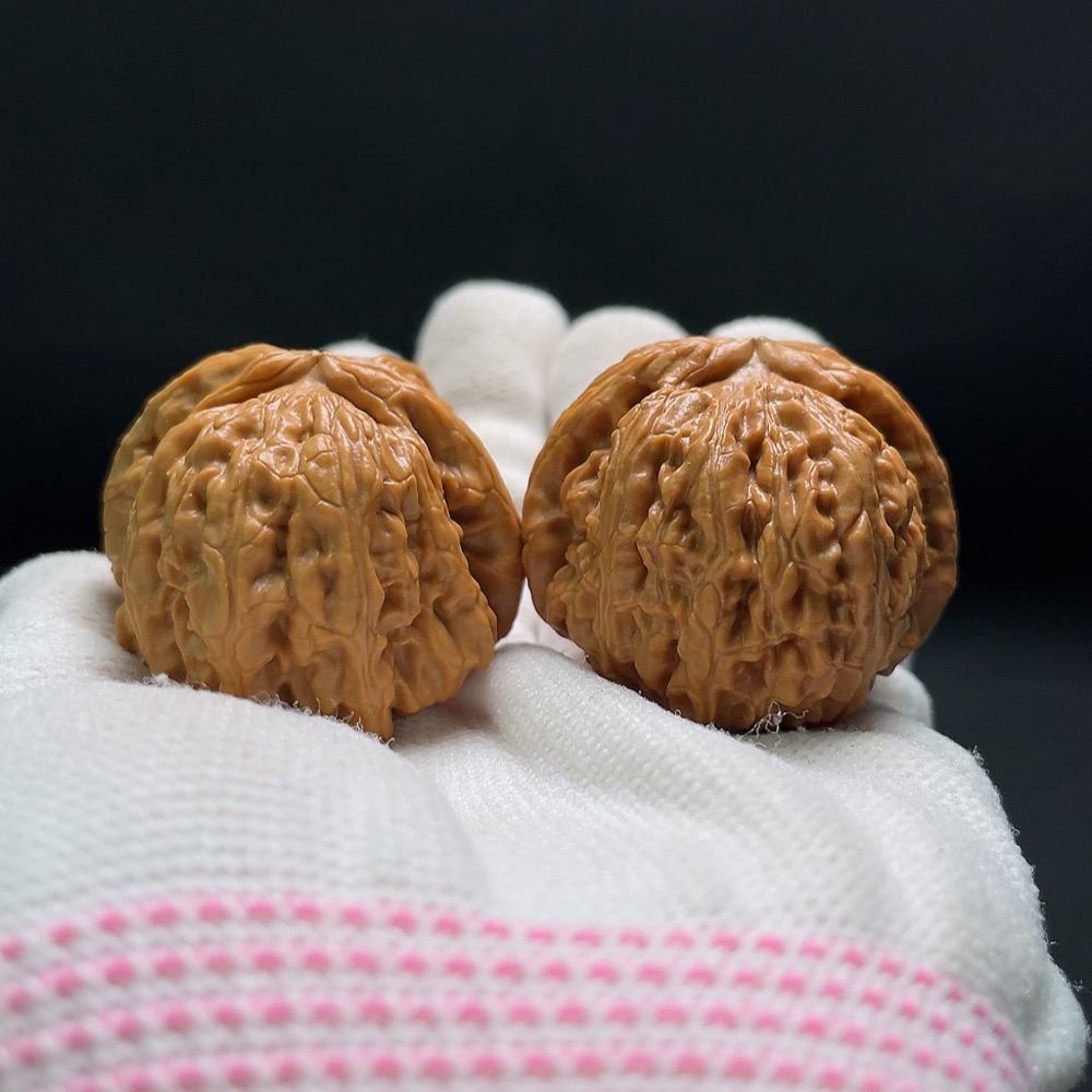 W34993525 Walnut Total weight approx. 33.7g Size approx. 39.3mm