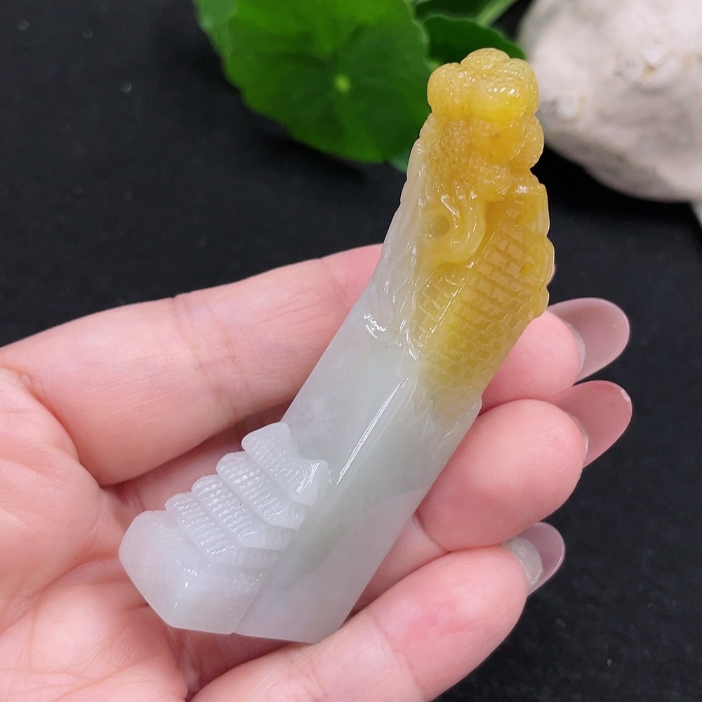 F32773623 color origin undetermined