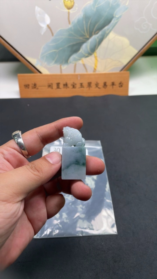 F30495688 JadeitePixiu Seal