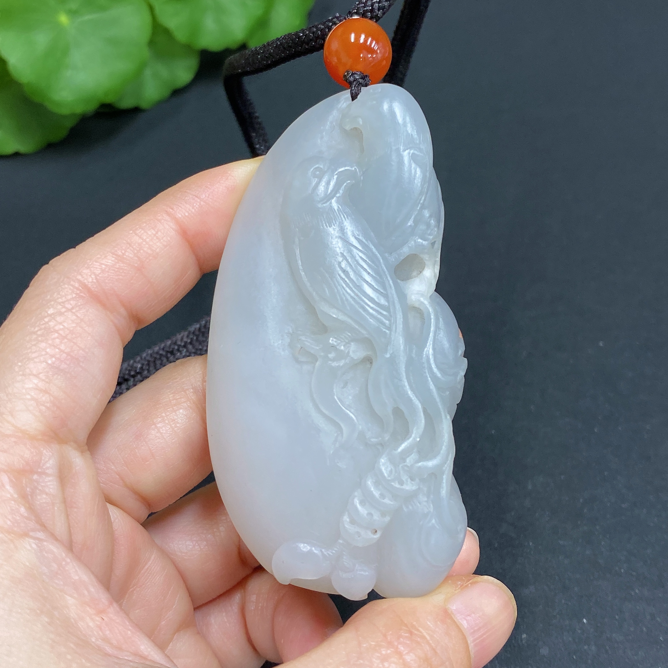 H29374721 Happy Bird on the Branch