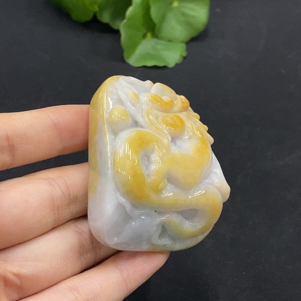 F30566376 Jadeite Dragon Pendant