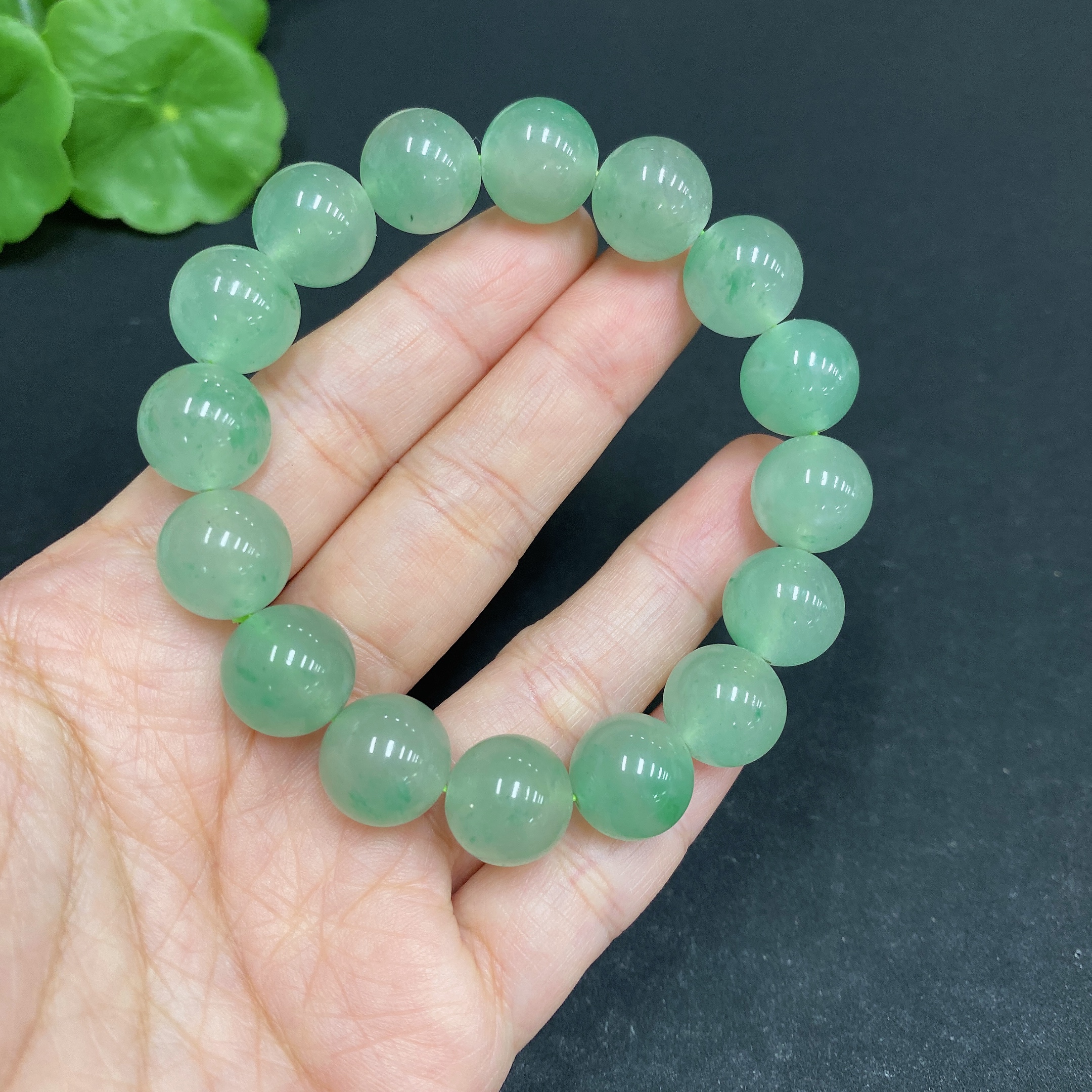 H33858889 Dulong Jade