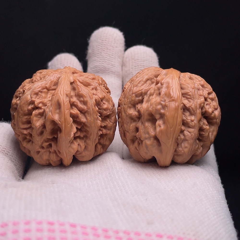 W33937035 Thick-veined Walnut